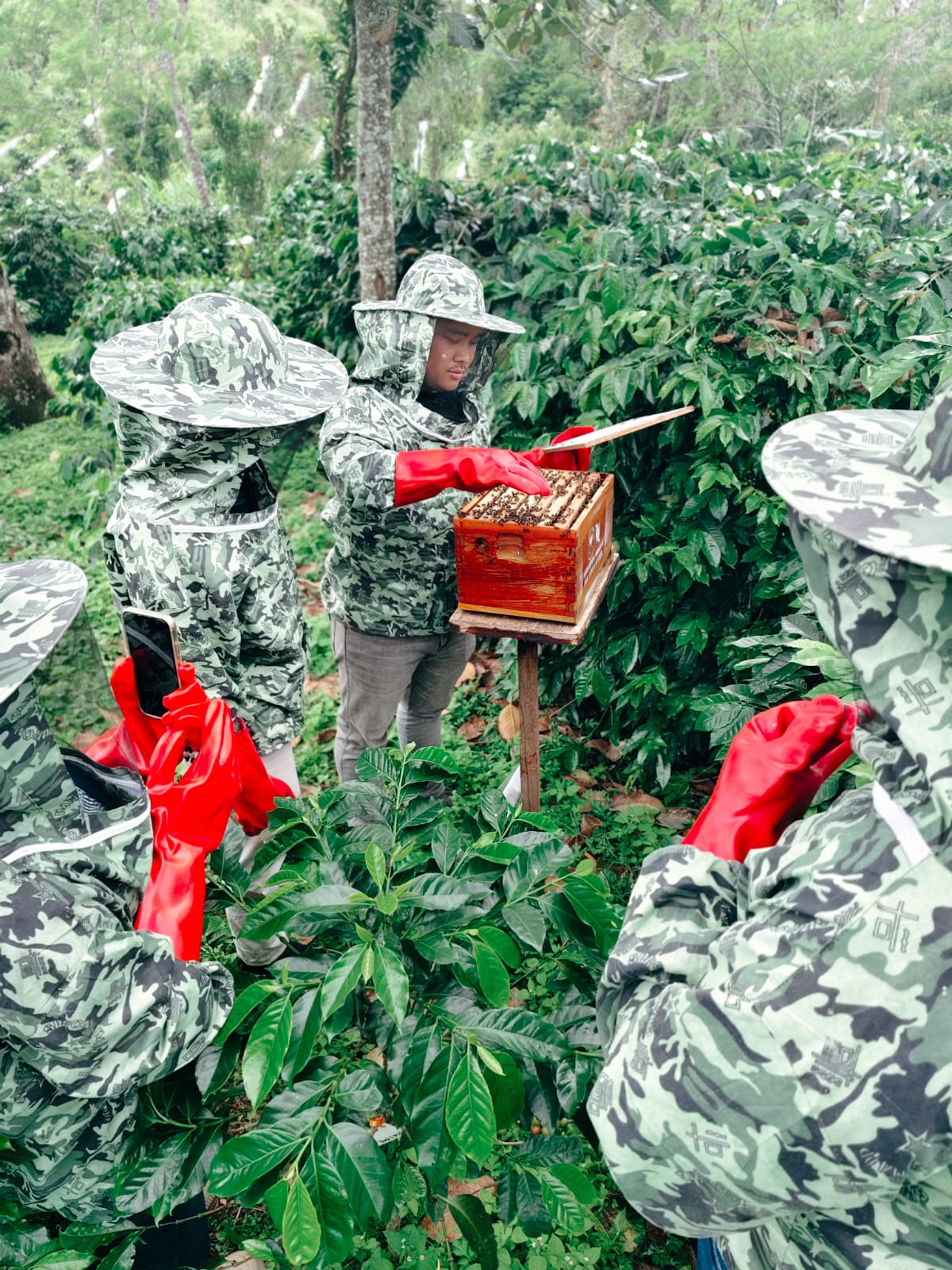 WhatsApp Image 2025 11 10 at 05.48.41