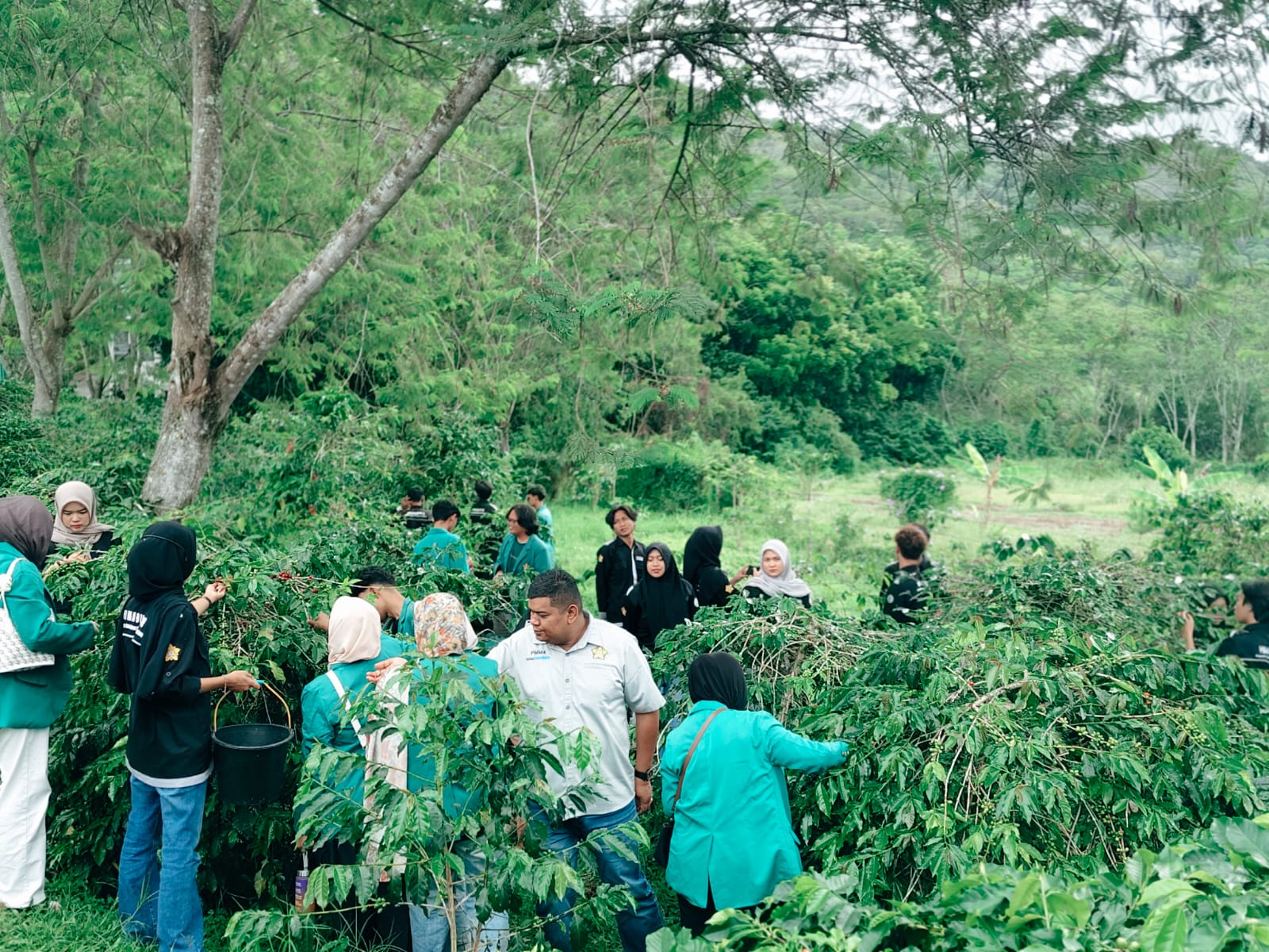 WhatsApp Image 2025 11 10 at 06.21.25